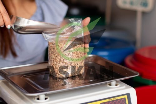 Woman packing lentils in bag and using scale. Woman using metal spoon to pack grains. Dry grain store.